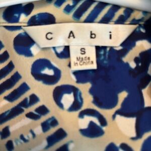CAbi special relic of a dress!